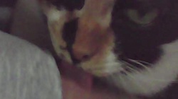 20140425 (You were slowly killing yourself, but I didn't feel anything.)