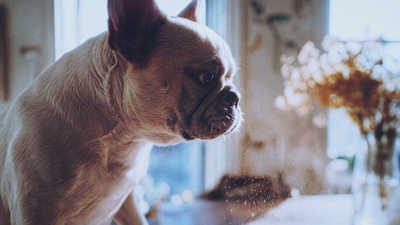 chocolate n' coke Front Cover