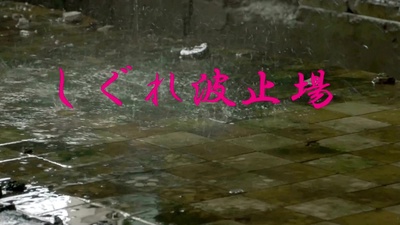 sigure hatoba Front Cover