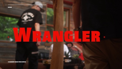 WRANGLER (feat. HIKIGANE SOUND)のジャケット写真