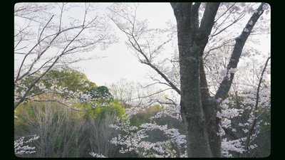 Words That Follow Goodbye Front Cover