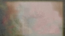 Cruciform and Spiral Flowers