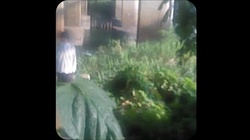 Late Afternoon Light