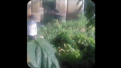 Late Afternoon Light Front Cover