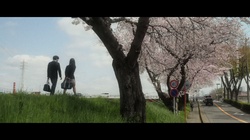 Scent of Spring