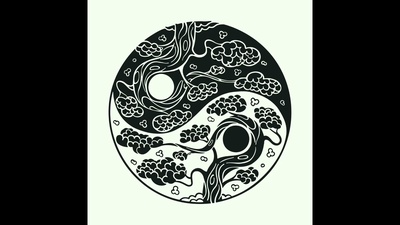Light and Shade Front Cover