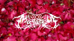 Romantic Suicide