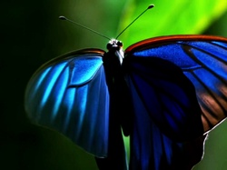 ESPECTRO
