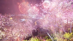 SAKURA HANABI (feat. Lov.)