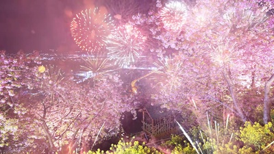 SAKURA HANABI (feat. Lov.) Front Cover